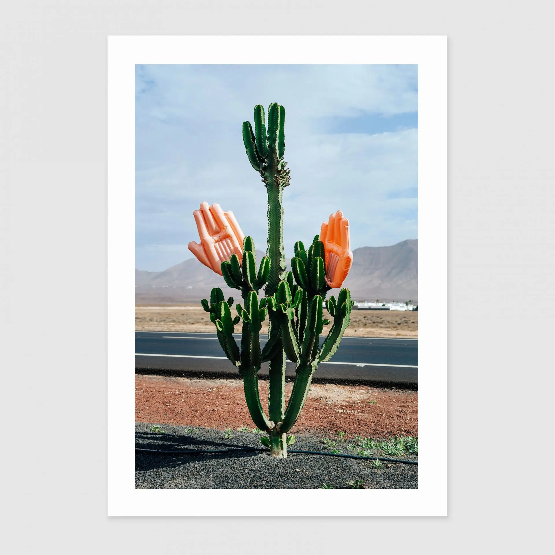 A3-cactushands